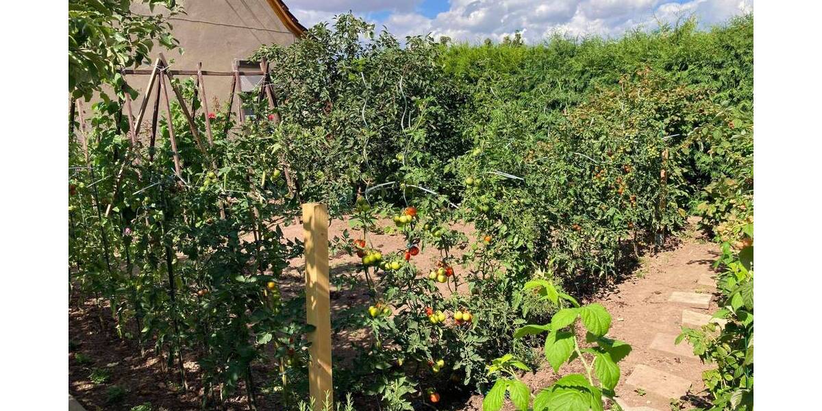Einfamilienhaus Kelbra Thürungen - 4 Zimmer, 95 m&sup2;, 149.500&euro; | Angebot:25743635