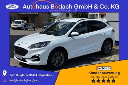 Ford Kuga 43.065 km 23.990 € Borgentreich-Borgholz 34434