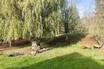 Einfamilienhaus Seegebiet Mansfelder Land Hornburg - 4 Zimmer, 115 m&sup2;, 180.000&euro; | Angebot:26092451