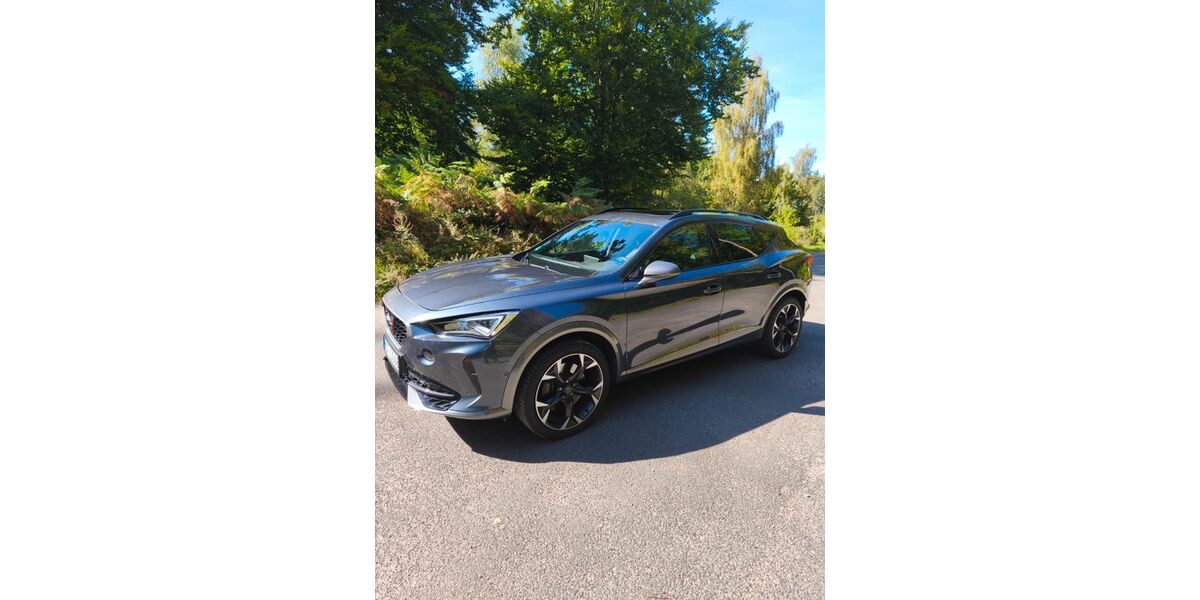 Cupra Formentor 72.200 km 25.550 &euro; Alheim-Licherode 36211