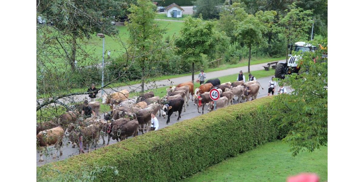 Einfamilienhaus Oberstaufen - 8 Zimmer, 230 m&sup2;, 780.000&euro; | Angebot:27004074