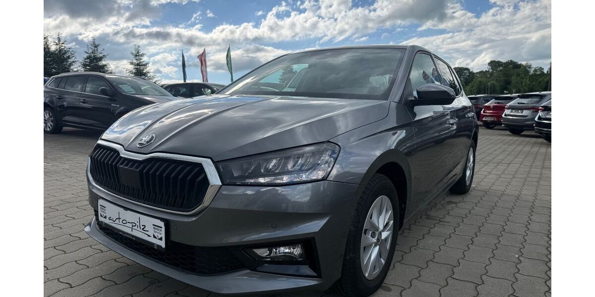 Skoda Fabia 11.096 km 19.190 &euro; Thermalbad Wiesenbad OT Schönfeld 09488