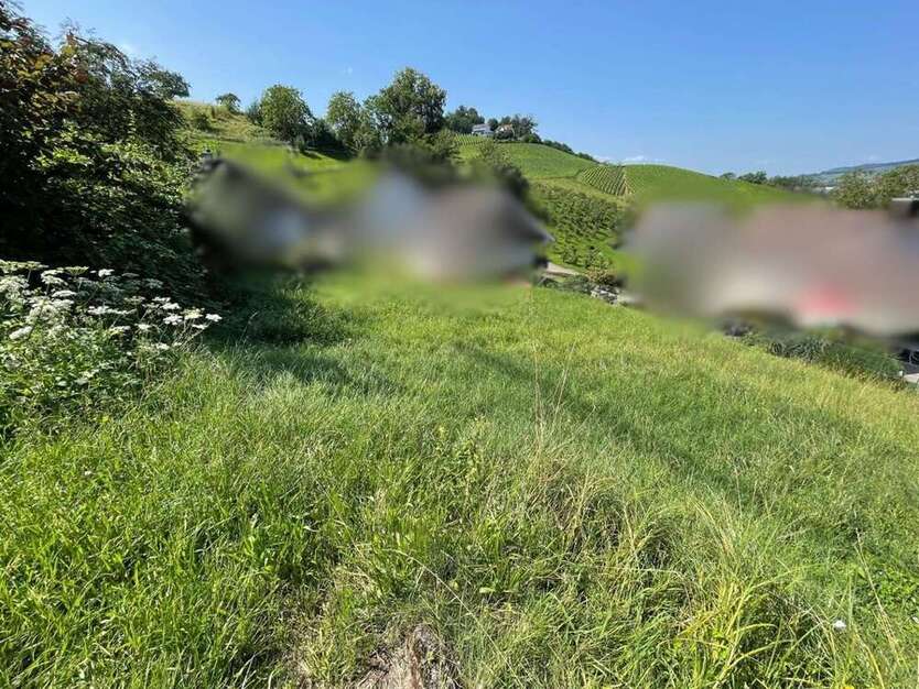 Grundstück zu verkaufen in Oberkirch 140.000 € 396 m²