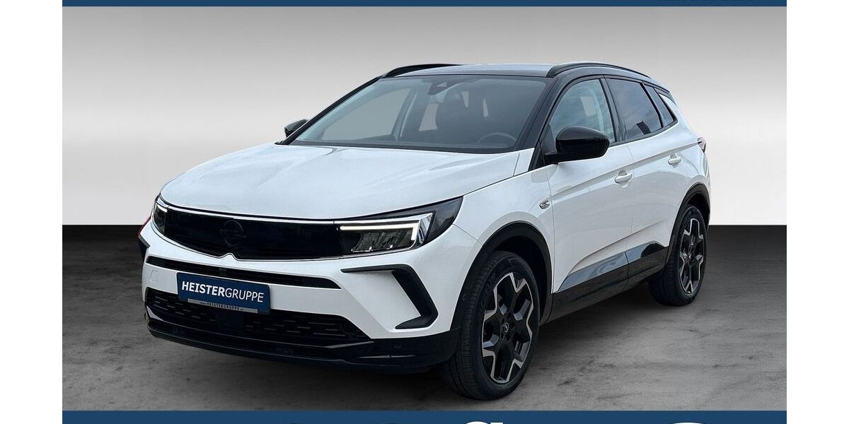 Opel Grandland (X) 31.800 km 22.990 &euro; Trier 54292