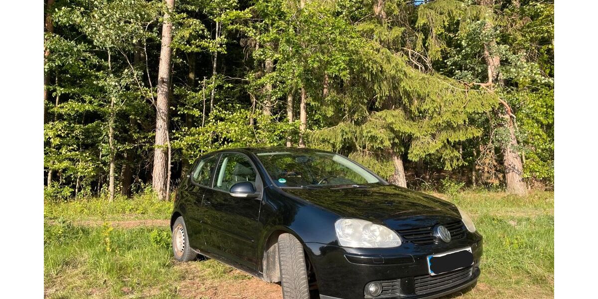 VW Golf 289.000 km 1.400 &euro; Burk 91596