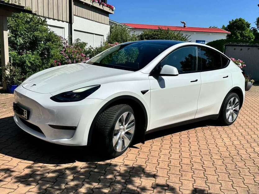Model Y