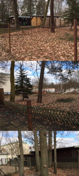 Grundstück zu verkaufen in Brandenburg - Kolkwitz 112.145 € 2000 m² zimmer