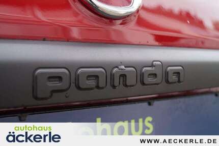 Fiat Panda 43.000 km 11.249 &euro; Korb 71404