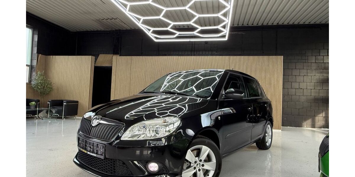 Skoda Fabia 100.000 km 6.990 &euro; Merzig 66663