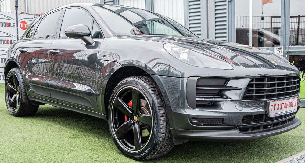 Macan
