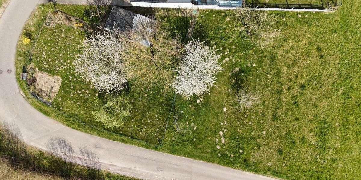 Grundstück zu verkaufen in Bad Säckingen 375.000 € 1167 m² zimmer