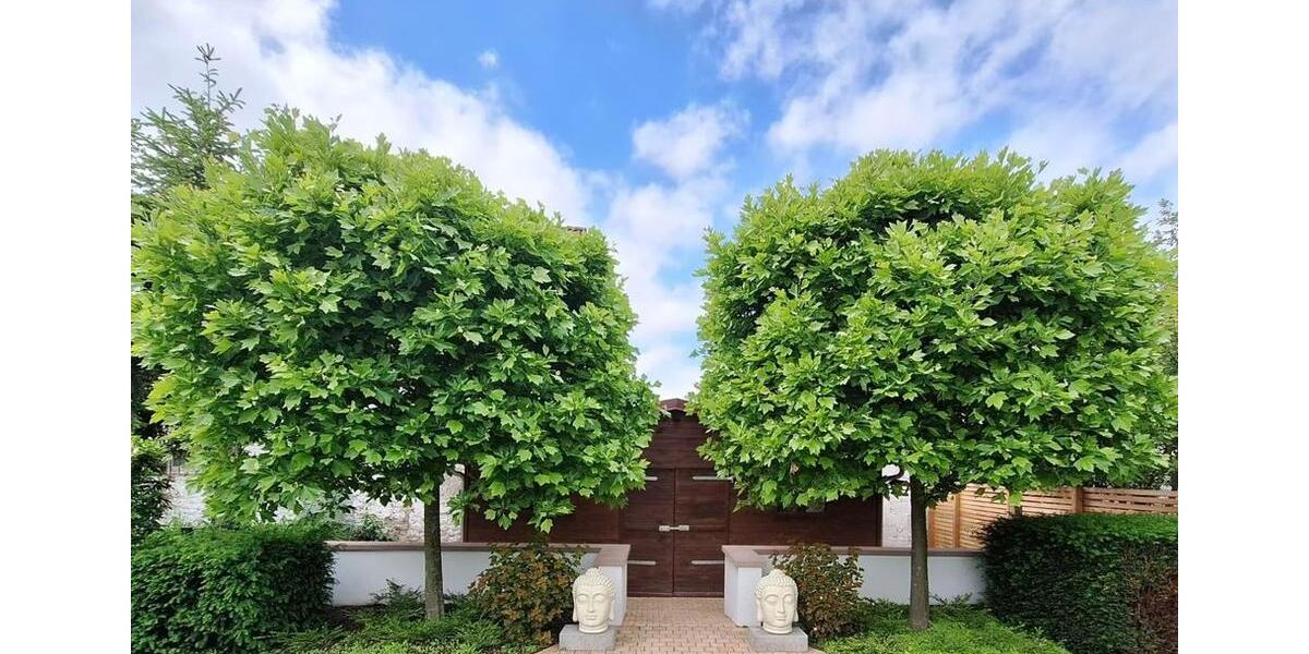 Einfamilienhaus Nauheim - 3 Zimmer, 100 m&sup2;, 365.000&euro; | Angebot:27155316