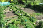Großer Bauernhof - Einfamilienhaus Kleinich | Angebot:23692545