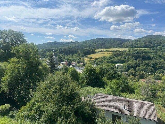 Mehrfamilienhaus, Wohnhaus Bollendorf Laufenwehr - 1 Zimmer, 256 m&sup2;, 385.000&euro; | Angebot:25662314