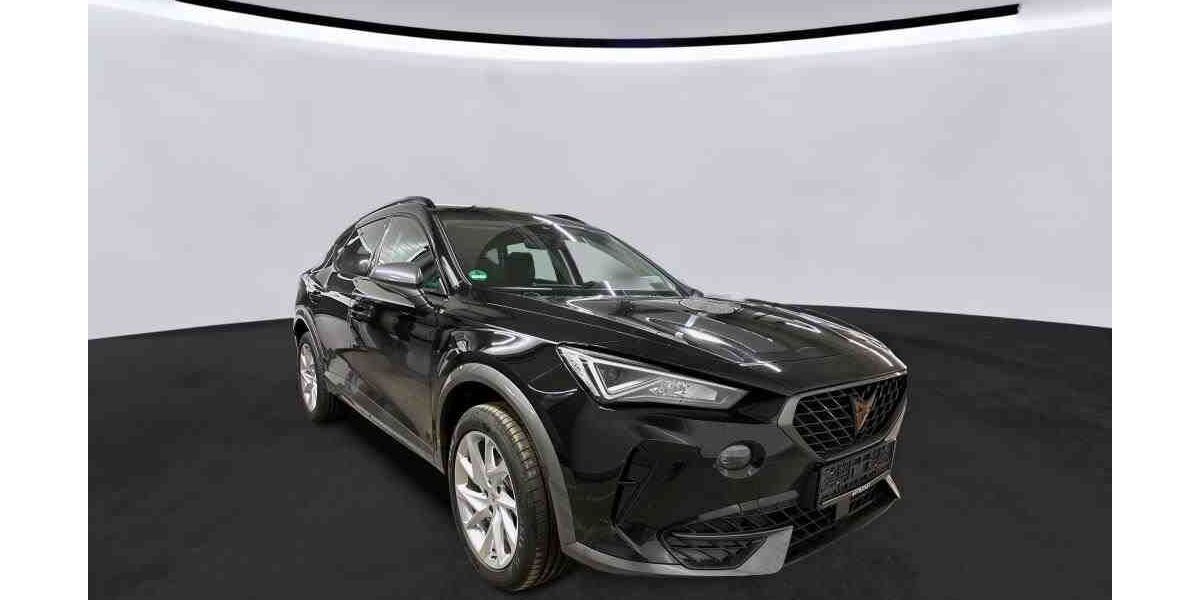 Cupra Formentor 24.567 km 24.950 &euro; Goslar 38644