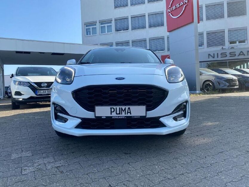 Puma