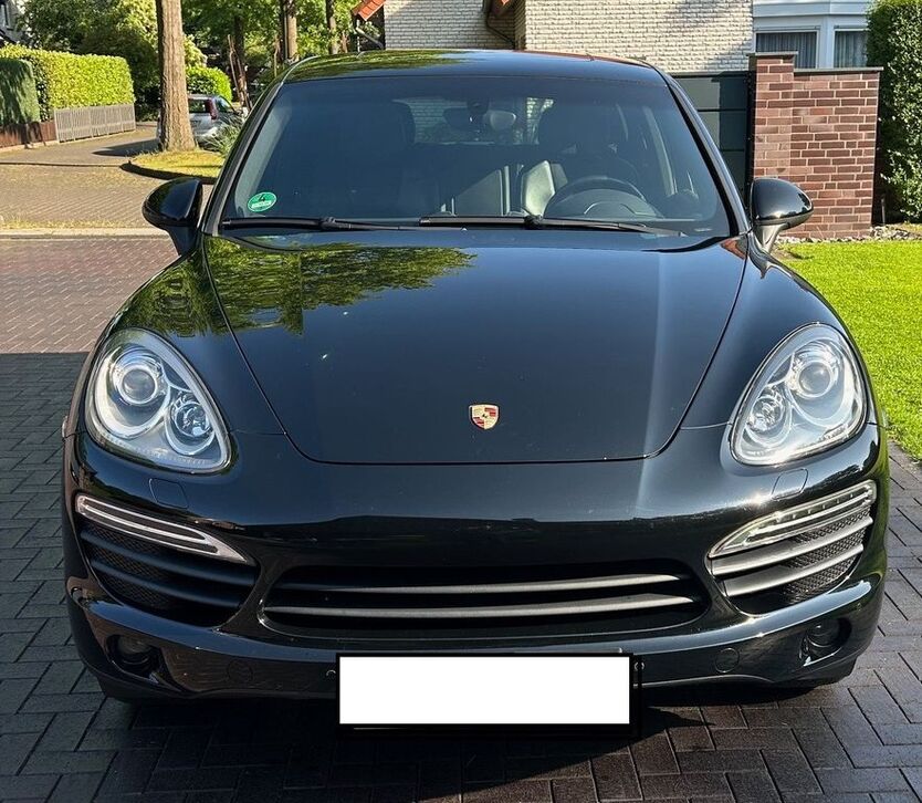 Cayenne