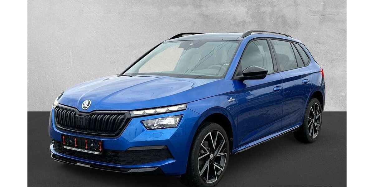 Skoda Kamiq 40.300 km 21.990 &euro; Chamerau 93466