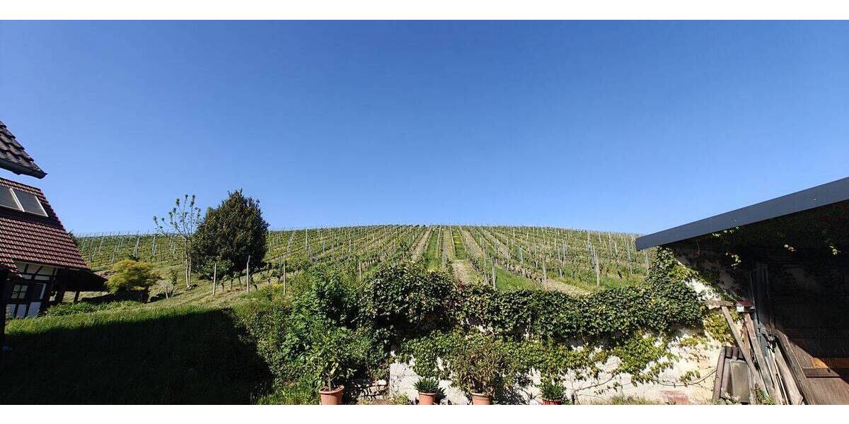 Mehrfamilienhaus, Wohnhaus Durbach - 1 Zimmer, 420 m&sup2;, 1.250.000&euro; | Angebot:26393061