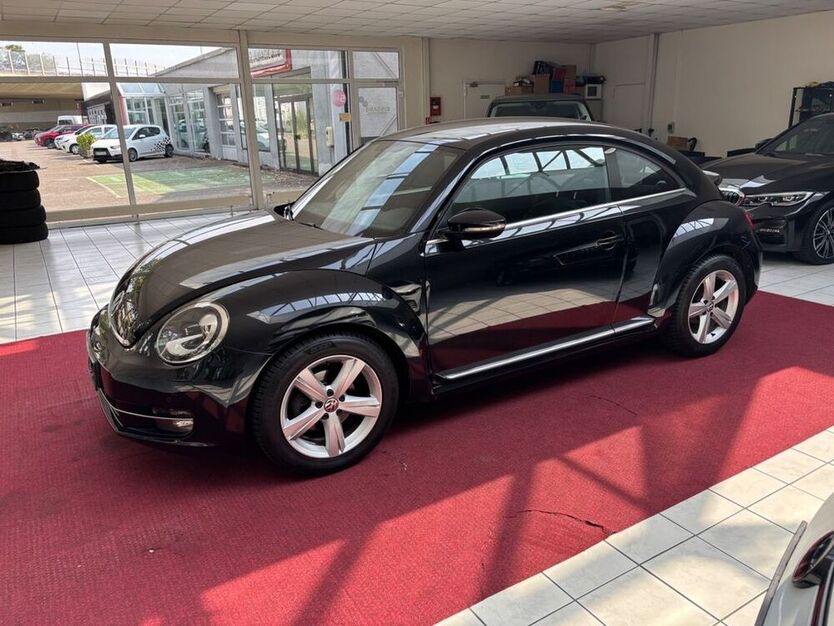 Beetle