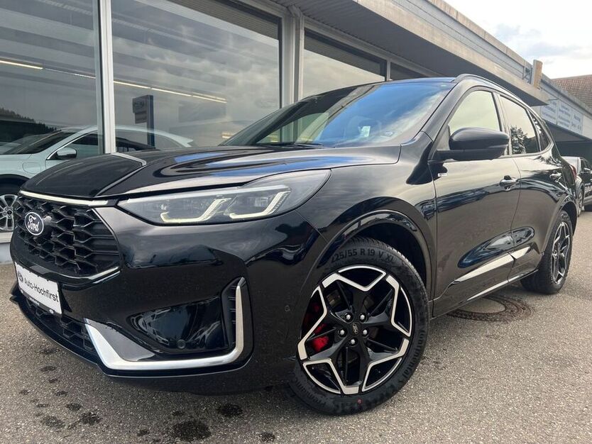 Kuga