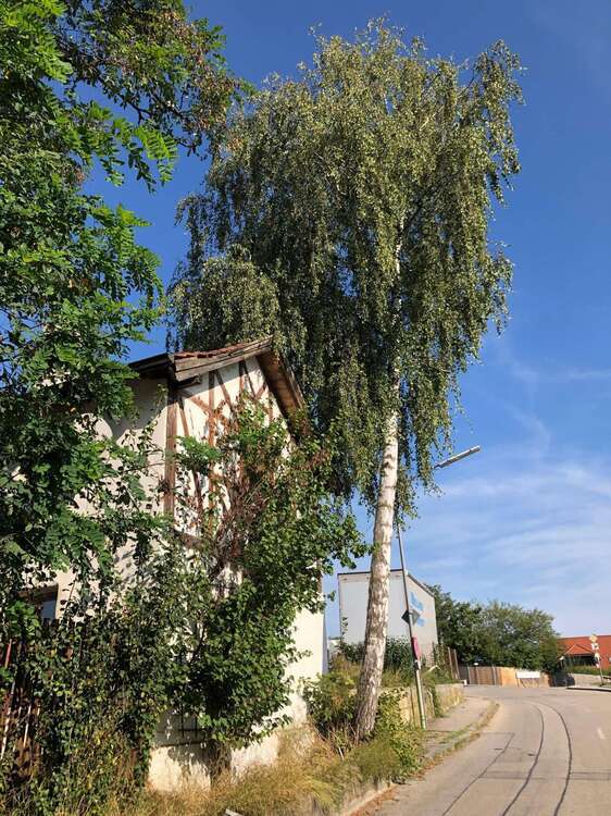 Wohnung zum Mieten in Bayerbach bei Ergoldsbach 450 € 31 m²