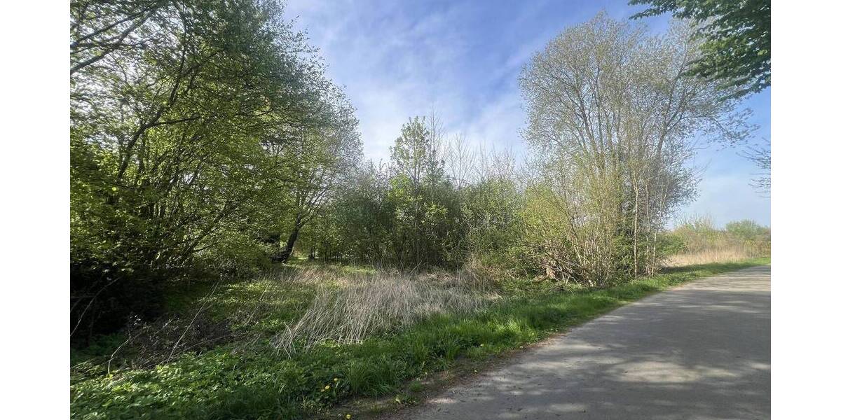 Grundstück Bebensee - 30.000&euro; | Angebot:25210867