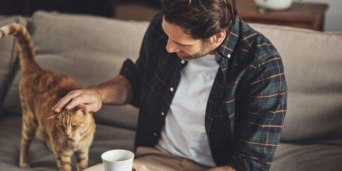 Einfamilienhaus Monschau - 6 Zimmer, 155 m&sup2;, 317.199&euro; | Angebot:25358240