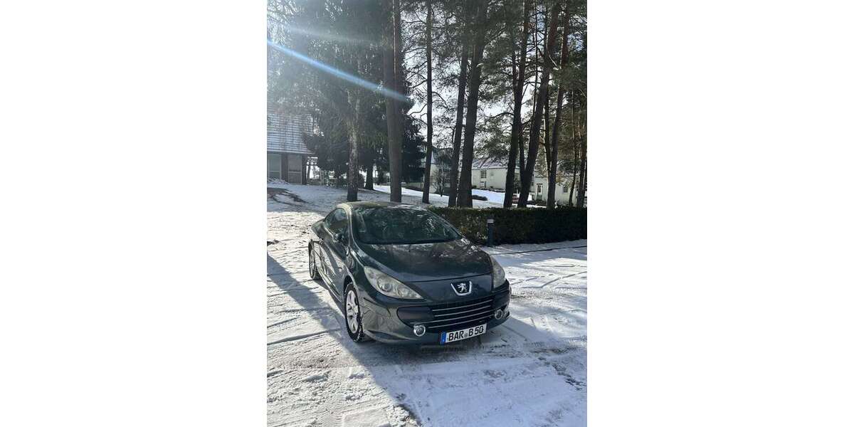 Peugeot 307 296.000 km 1.300 &euro; Wandlitz 16348