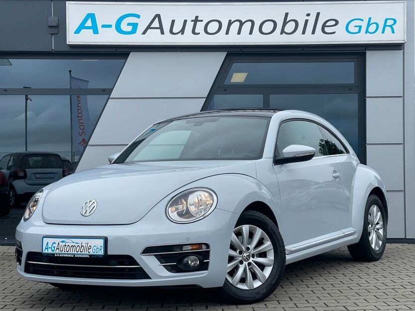 Beetle