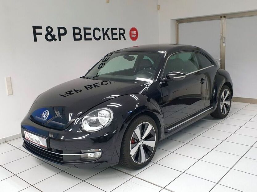 Beetle
