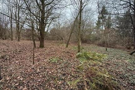 Grundstück Bassum - 250&euro; | Angebot:24347135