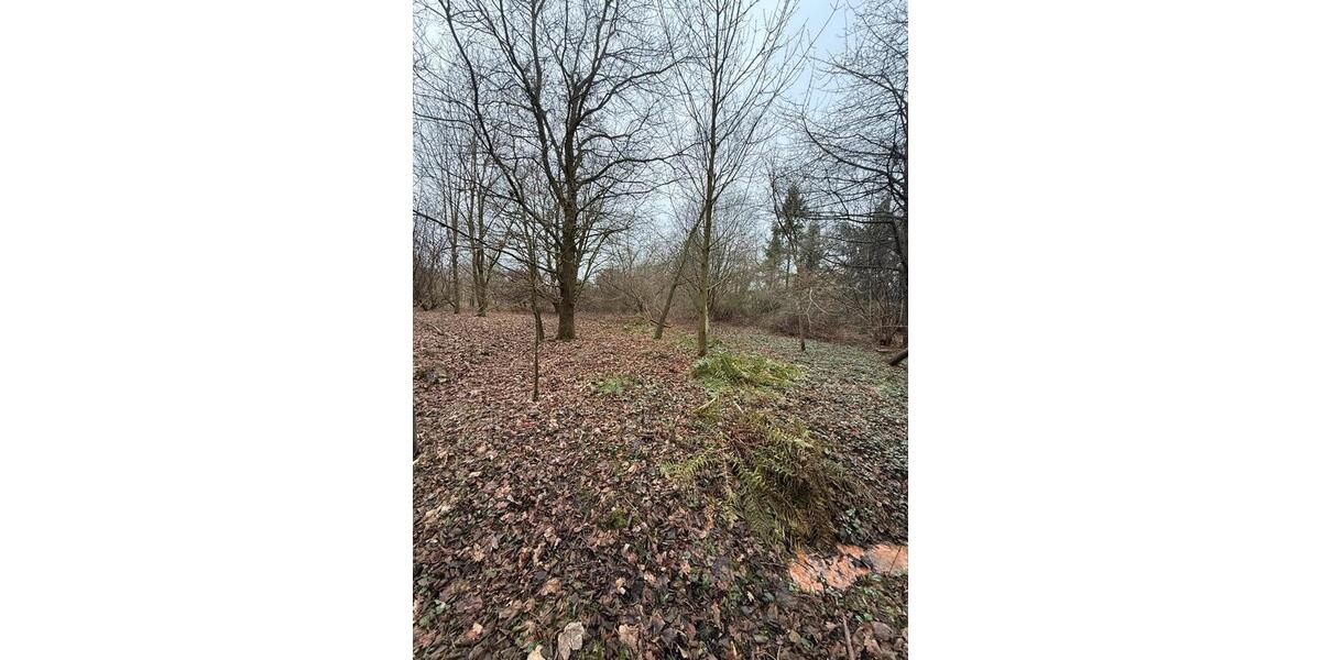 Grundstück Bassum - 250&euro; | Angebot:24347135