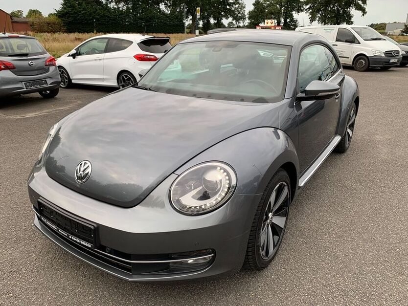 Beetle