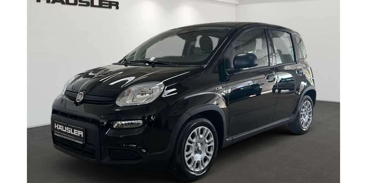 Fiat Panda 4.000 km 14.690 &euro; Stockdorf 82131