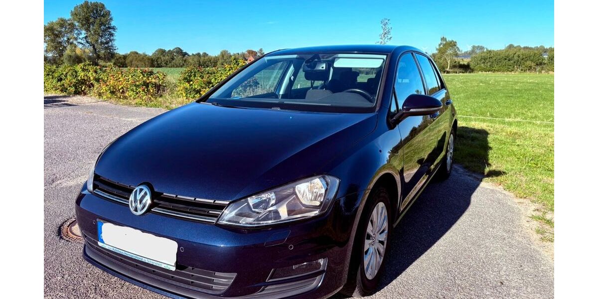 VW Golf 120.850 km 7.595 &euro; Schashagen 23730