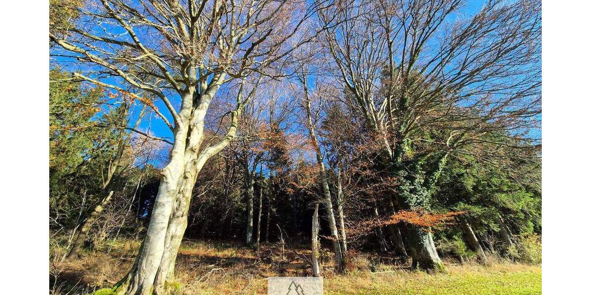 Grundstück Eggenthal Völken - 84.900&euro; | Angebot:25689866