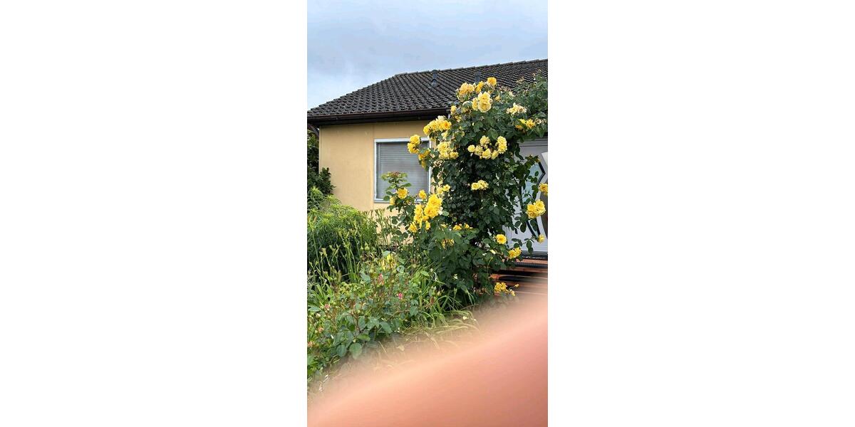 Mehrfamilienhaus, Wohnhaus Neuenburg am Rhein - 6 Zimmer, 185 m&sup2;, 585.000&euro; | Angebot:26339436