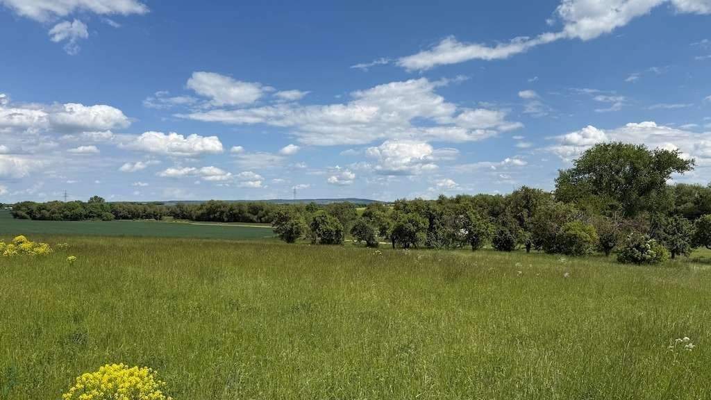 Grundstück Arnstadt Marlishausen - 143.520&euro; | Angebot:25667348