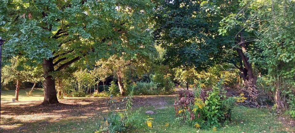 Bauernhaus, Landhaus Fehrbellin - 8 Zimmer, 200 m&sup2;, 310.000&euro; | Angebot:25590882