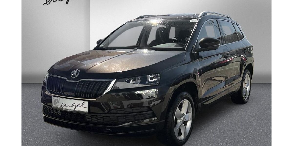 Skoda Karoq 42.300 km 19.989 &euro; Wunsiedel 95632