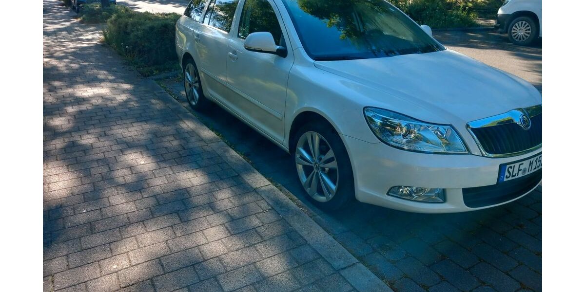 Skoda Octavia 278.000 km 3.333 &euro; Saalfeld 07318