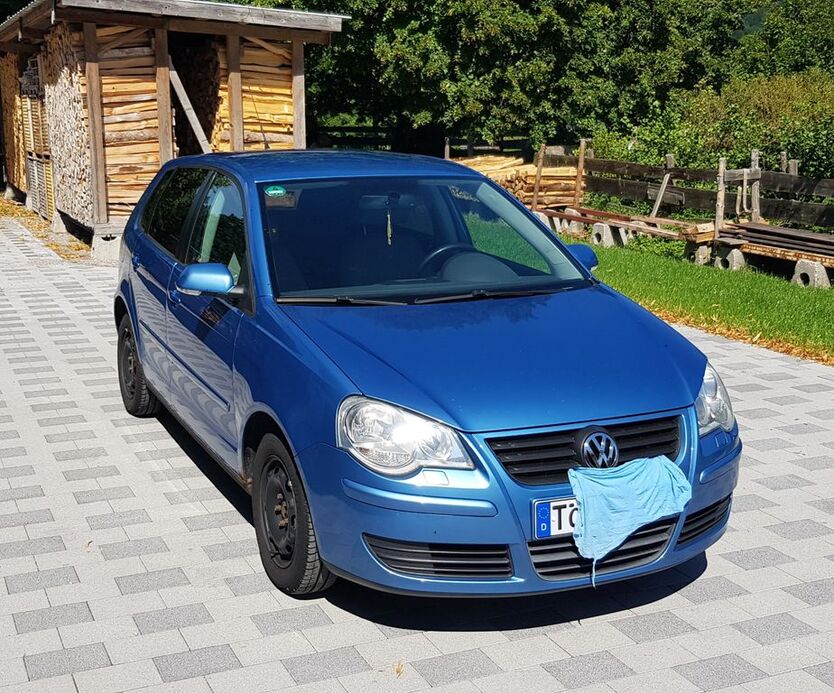 Polo