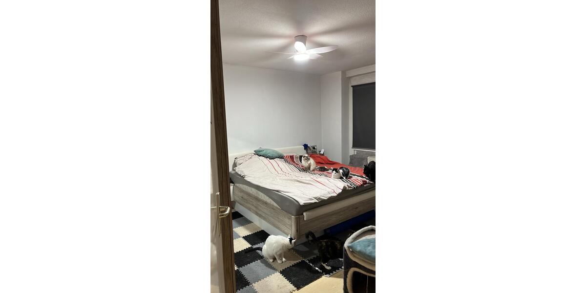Etagenwohnung Ludwigshafen am Rhein Ludwigshafen-Hemshof - 3 Zimmer, 85 m&sup2;, 200.000&euro; | Angebot:27413678