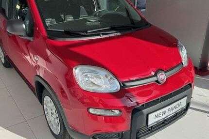 Fiat Panda 2.500 km 15.990 &euro; Baden-Baden 76532