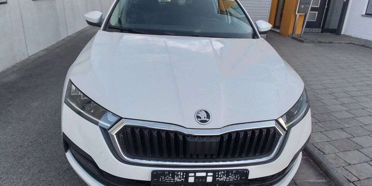 Skoda Octavia 297.700 km 9.900 &euro; Hemau 93155