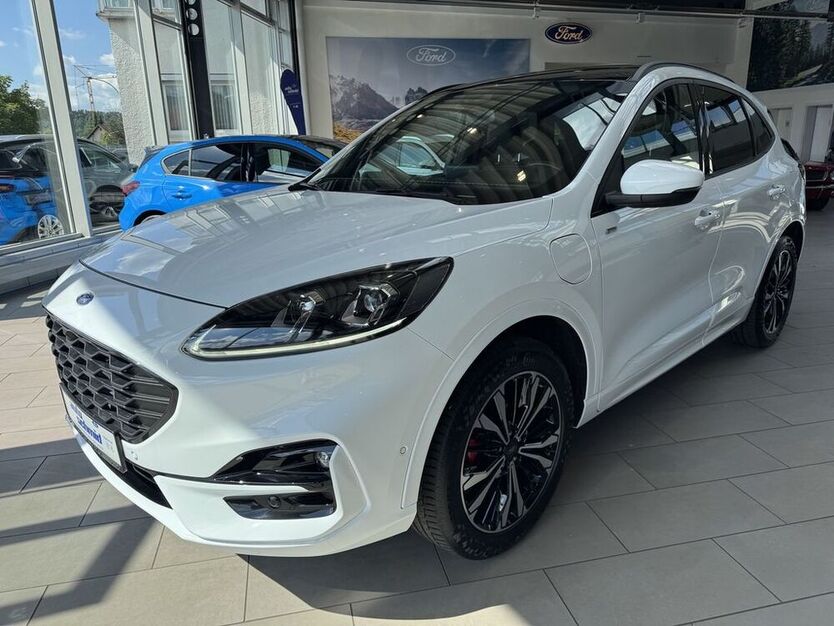 Kuga