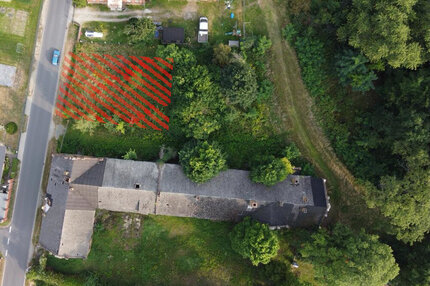 Idyllisches Wohnen mit Stadtnähe: Traumgrundstück in Frauendorf zu verkaufen