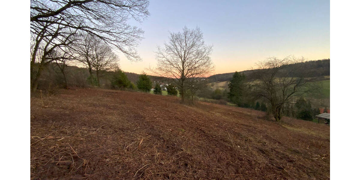 Grundstück Neuhemsbach - 115.000&euro; | Angebot:23960396