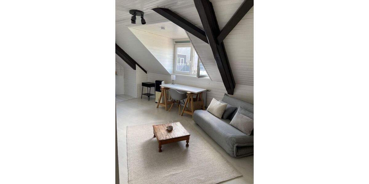 Apartment in der Mainzer Neustadt 1 zimmer